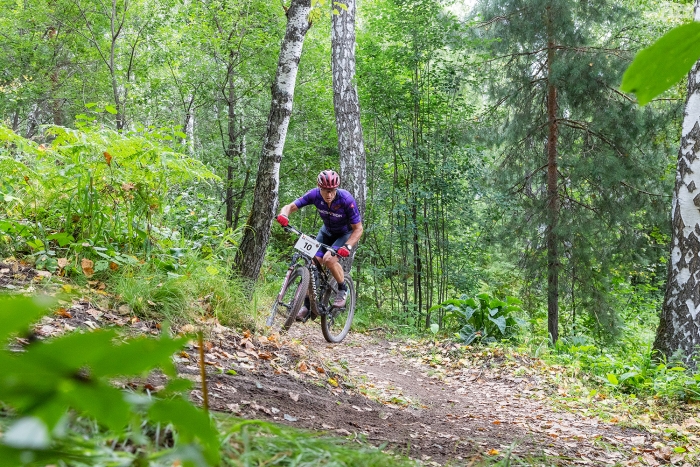 2025-0668