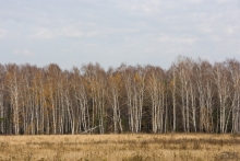 2008-052