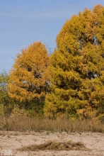 2008-058