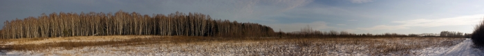 2008-293