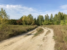 2022-0339