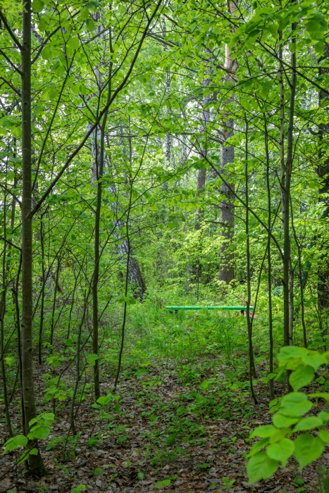 2024-0268