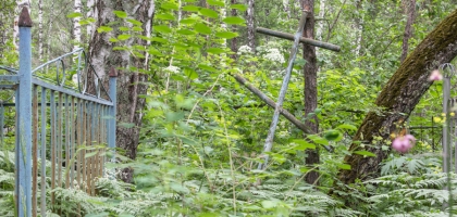 Abandoned Graveyard, Akademgorodok (2014)