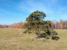 2021-0380