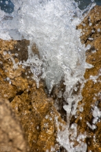 2010-1269