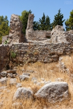 2010-1345
